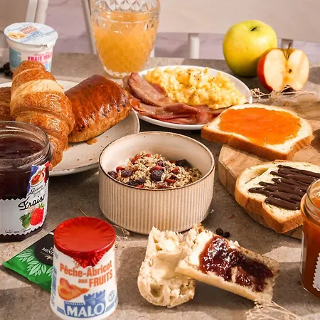 Nord Aeroport فندق بيربينيو